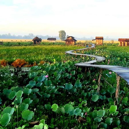 Viet Mekong Farmstay Tràm Chim Dış mekan fotoğraf