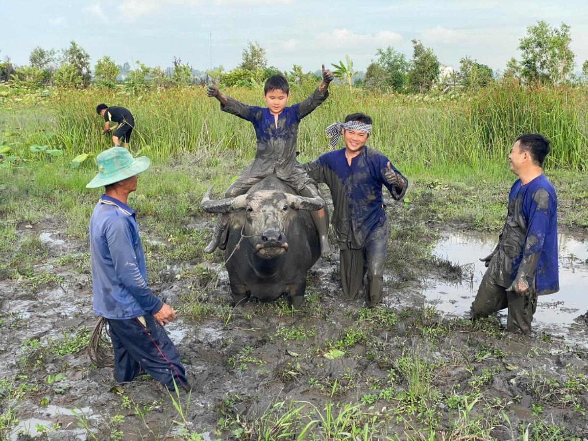 Viet Mekong Farmstay Tràm Chim Dış mekan fotoğraf