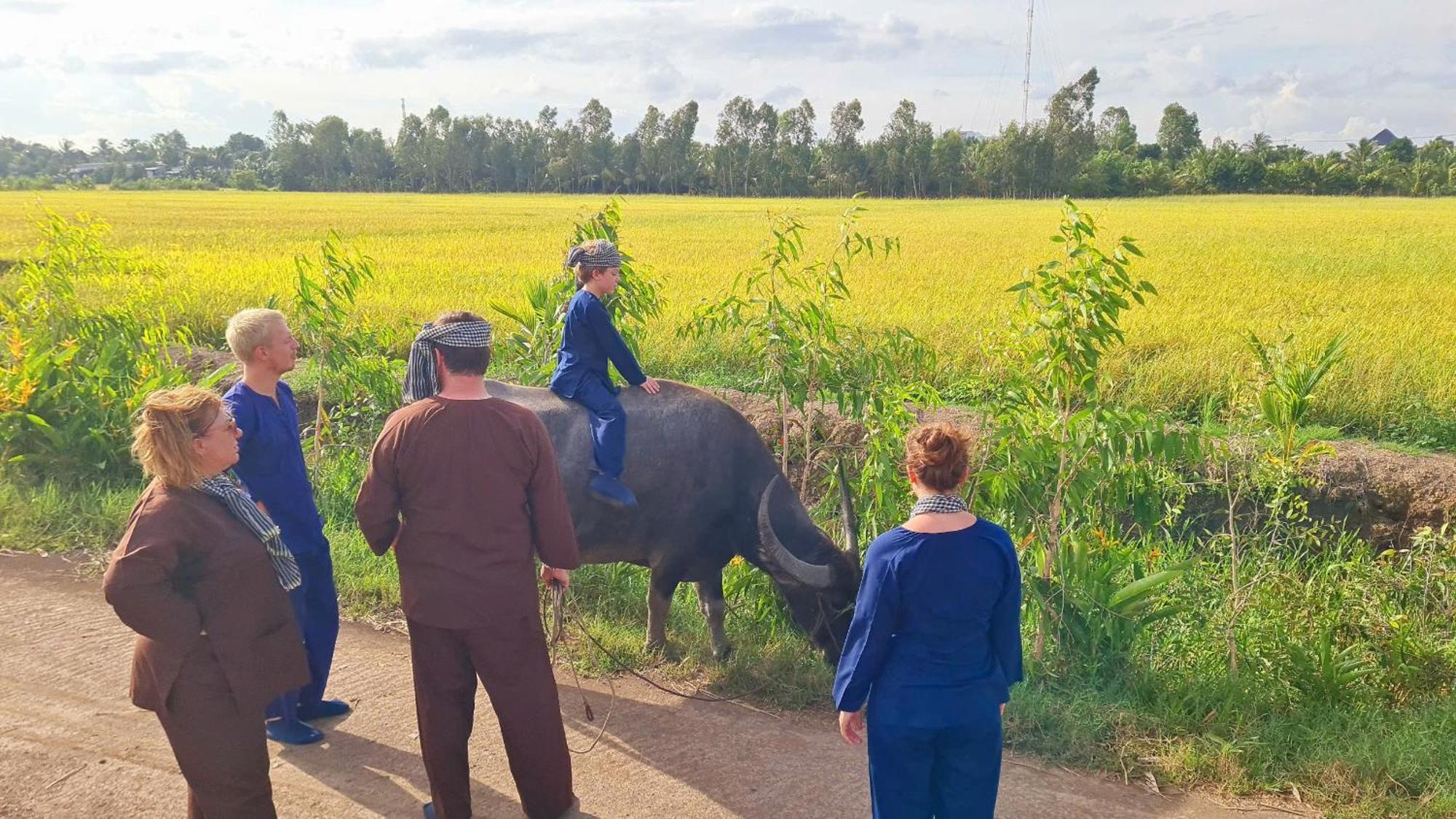 Viet Mekong Farmstay Tràm Chim Dış mekan fotoğraf
